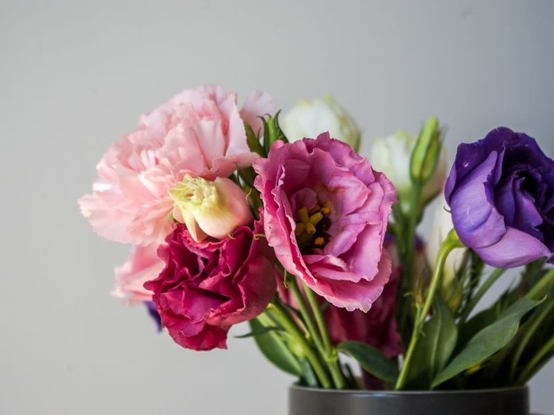 Ramo de flores de corte